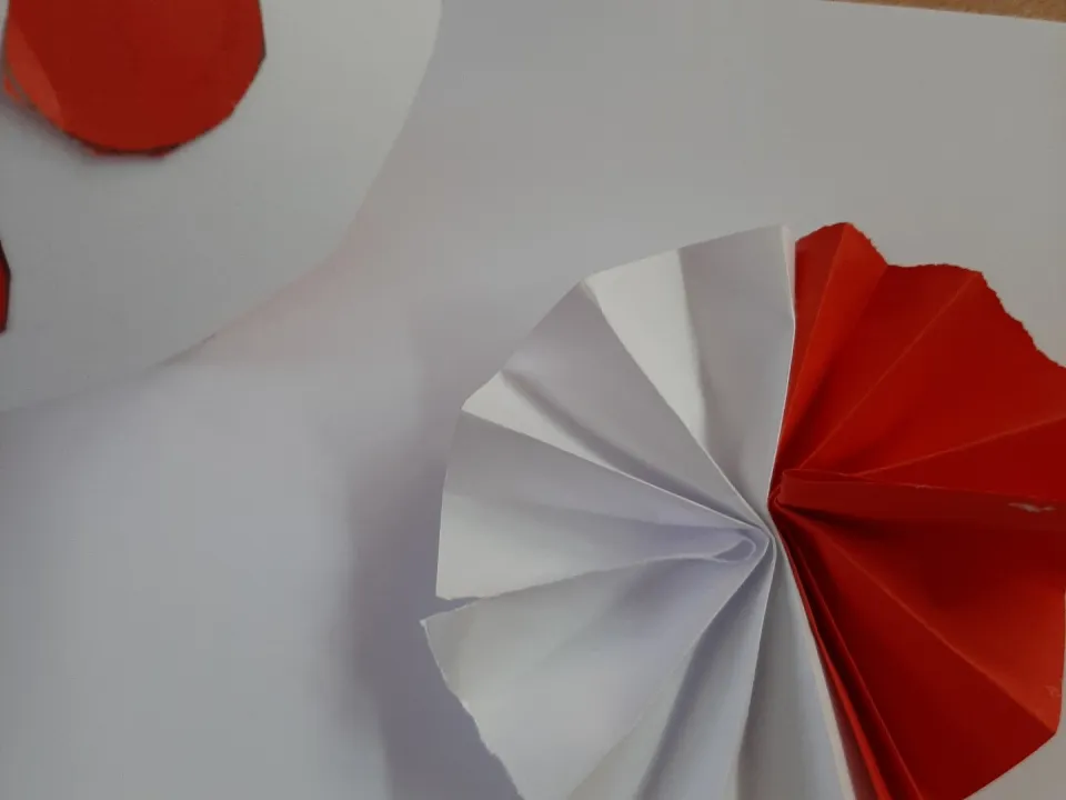 W kolorach biało-czerwonych — zdjęcie 2