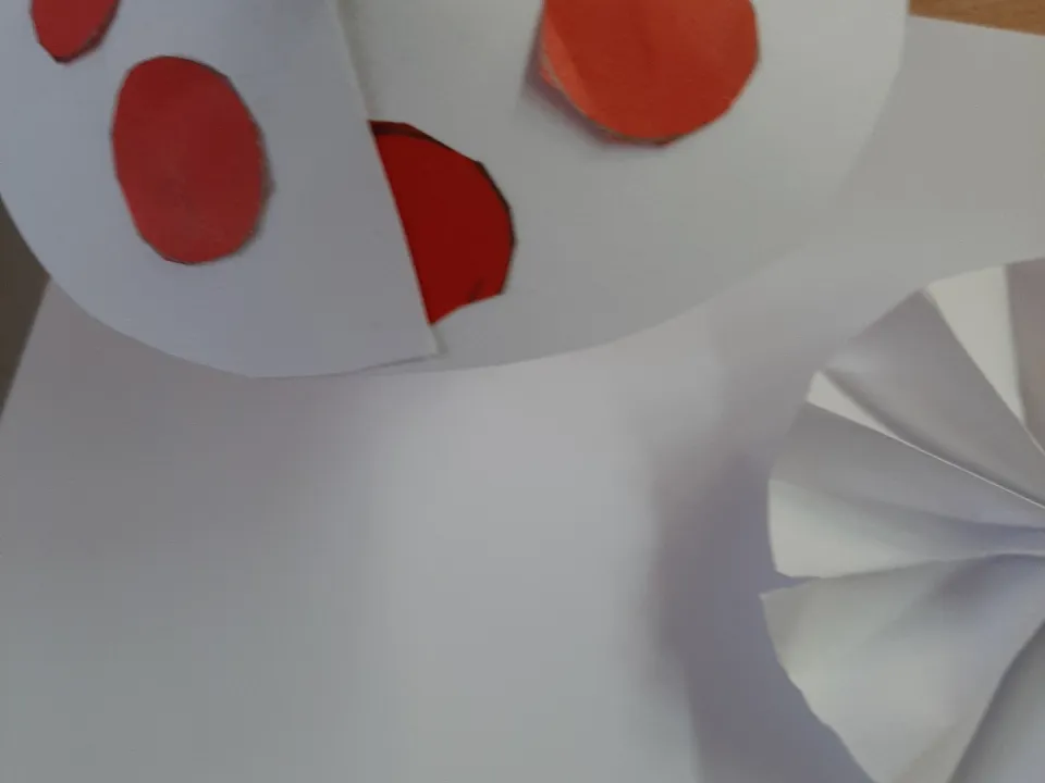 W kolorach biało-czerwonych — zdjęcie 3