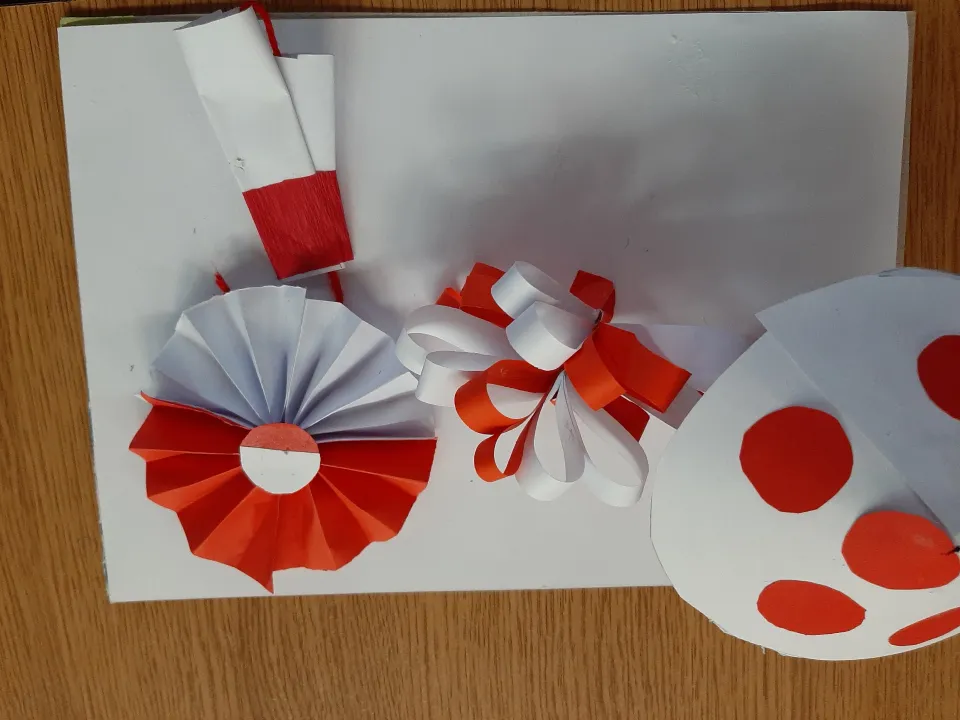 W kolorach biało-czerwonych — zdjęcie 17