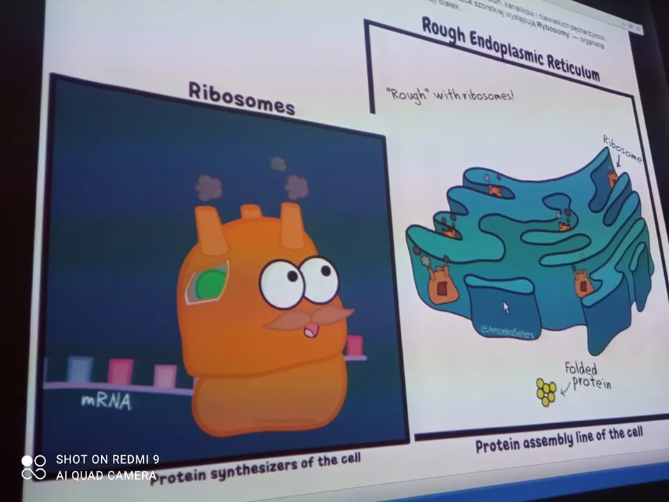 Biologia kl. 5 — zdjęcie 1
