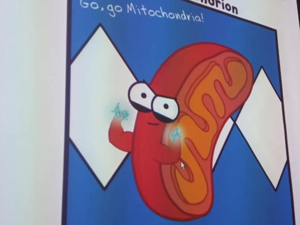 Biologia kl. 5 — zdjęcie 5