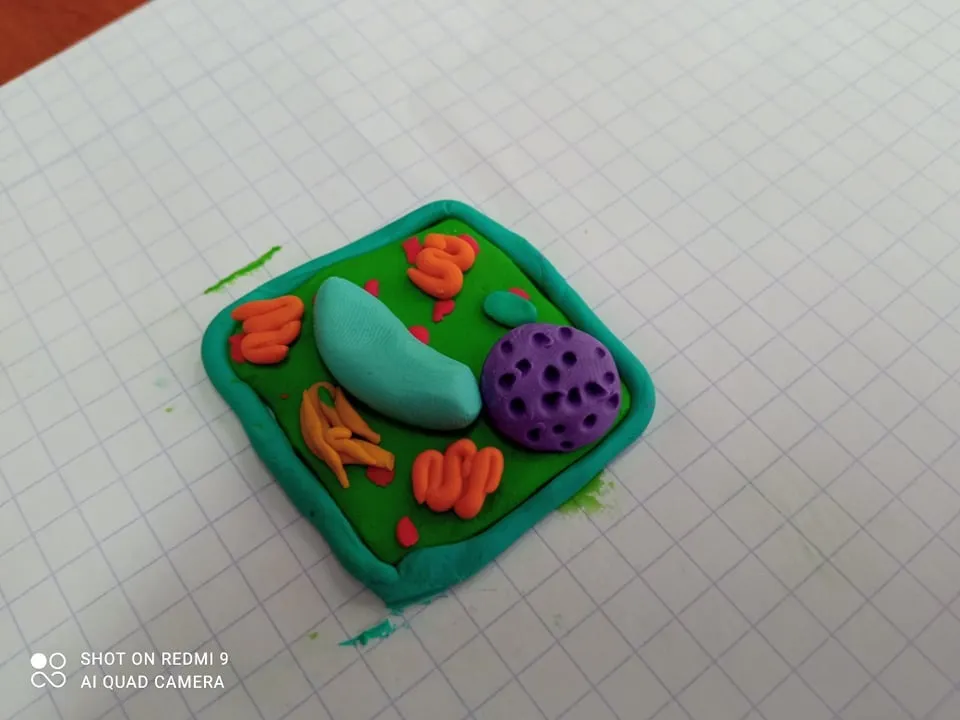 Biologia kl. 5 — zdjęcie 15