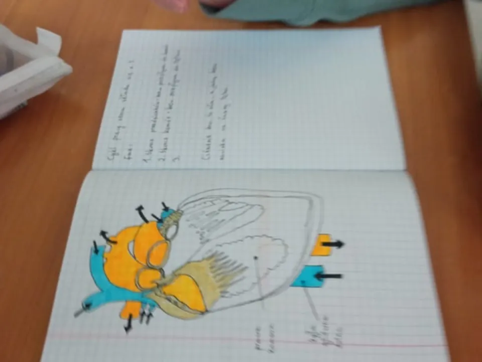 Serduszko puka w rytmie — zdjęcie 2