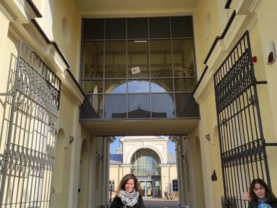 Delfiny w muzeum zabawek — zdjęcie 9