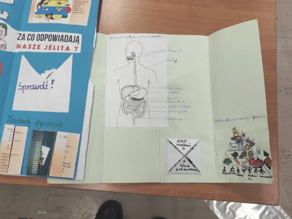 Jak dbać o układy narządów? — zdjęcie 4