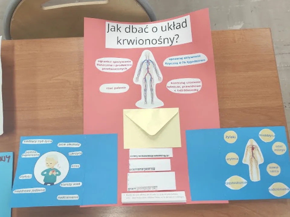 Jak dbać o układy narządów? — zdjęcie 6