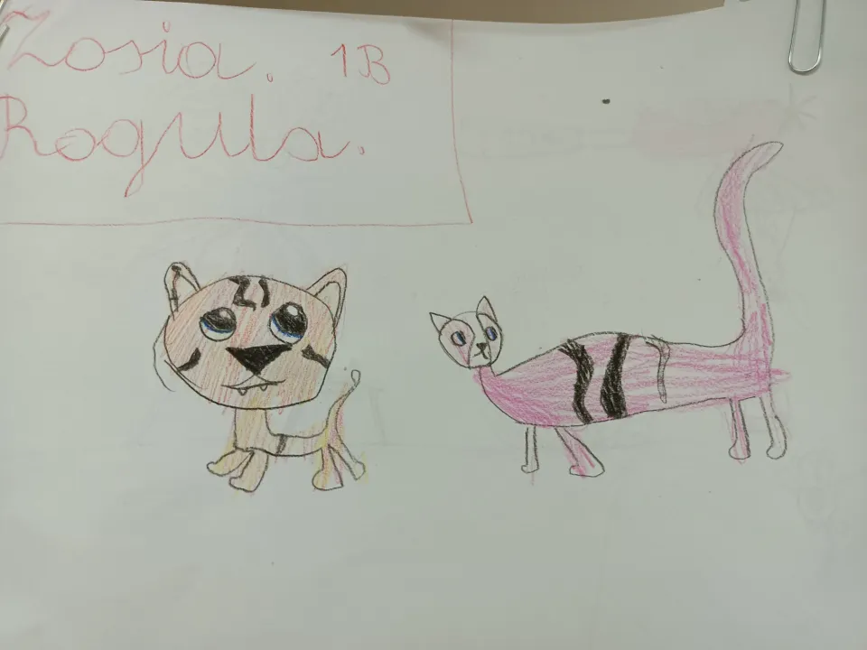 Dzień Kota — zdjęcie 11