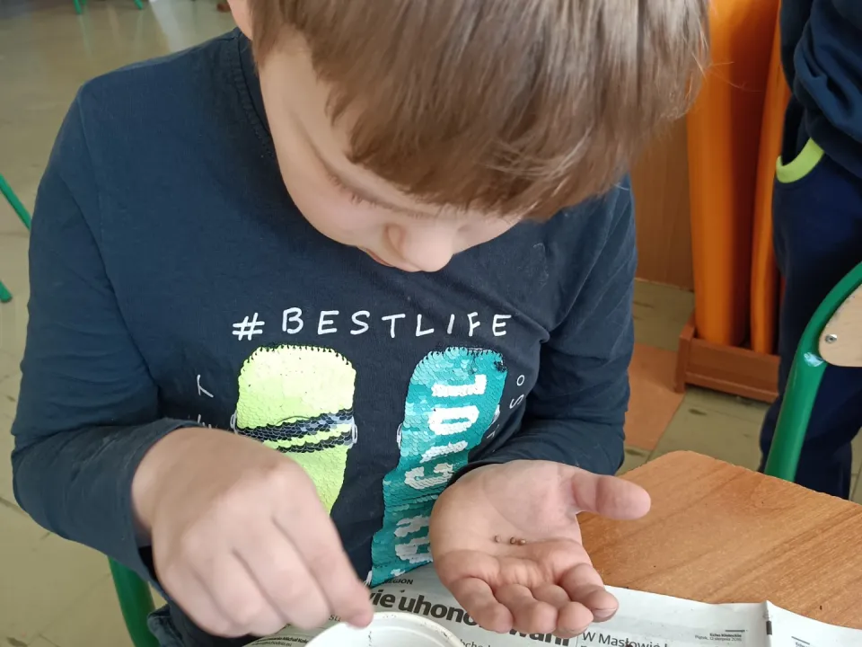 Mini ogródek — zdjęcie 5