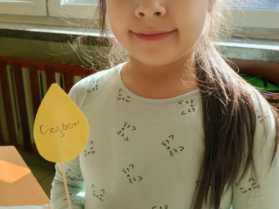 Mini ogródek — zdjęcie 11