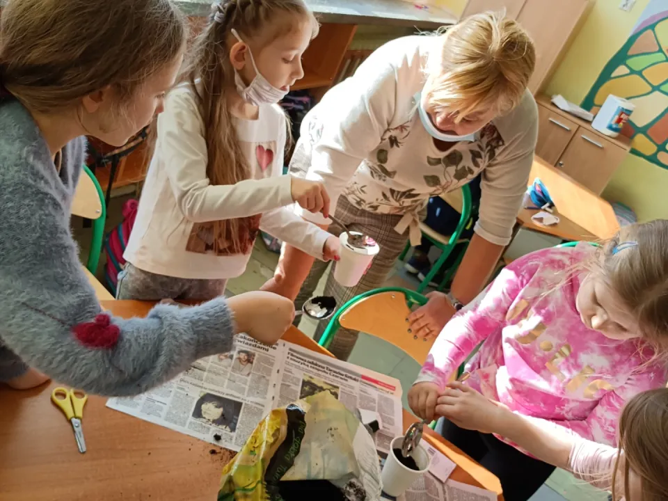 Mini ogródek — zdjęcie 12
