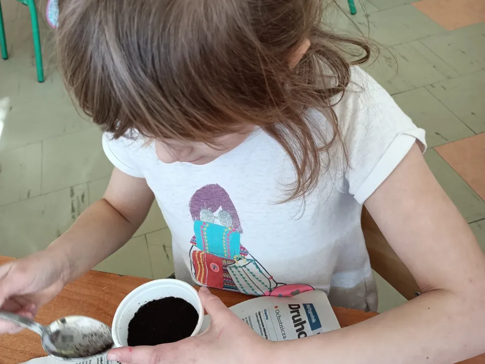 Mini ogródek — zdjęcie 14