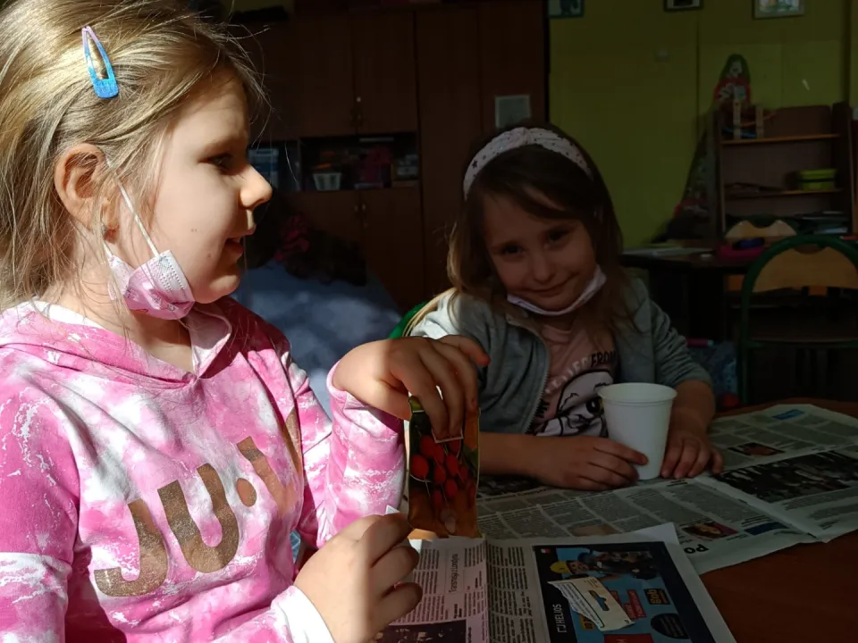 Mini ogródek — zdjęcie 18