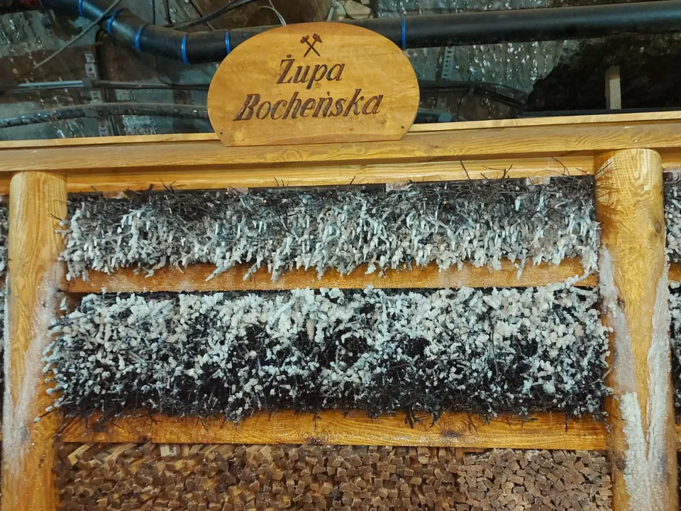 4b Bochnia — zdjęcie 12