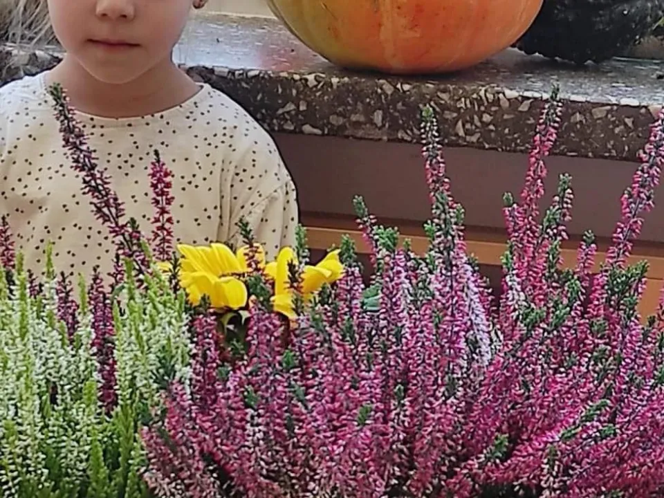 Jesień u Pszczółek — zdjęcie 14
