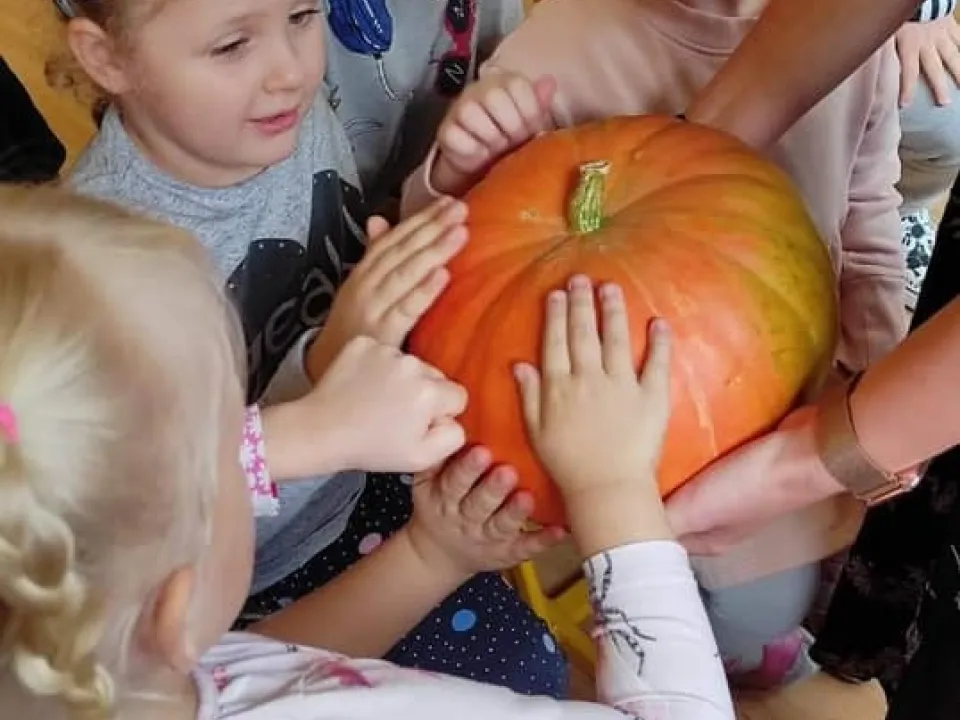 Jesień u Pszczółek — zdjęcie 15