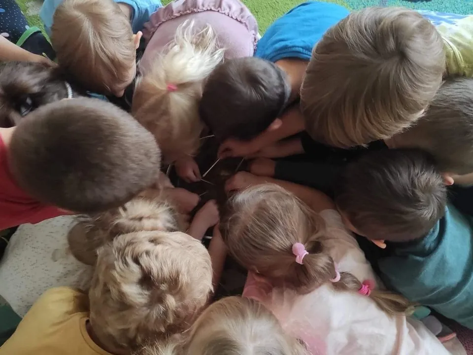 Światowy Dzień Mycia Rąk - Pszczółki — zdjęcie 4