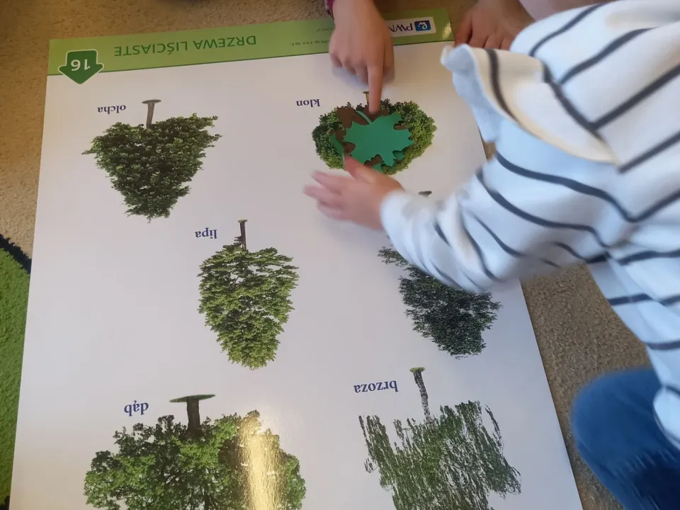SPRAWOZDANIE Z OBCHODÓW ŚWIATOWEGO DNIA DRZEWA — zdjęcie 1