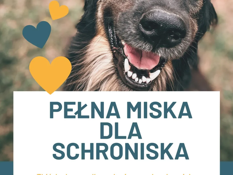 Zbiórka karmy — zdjęcie 1