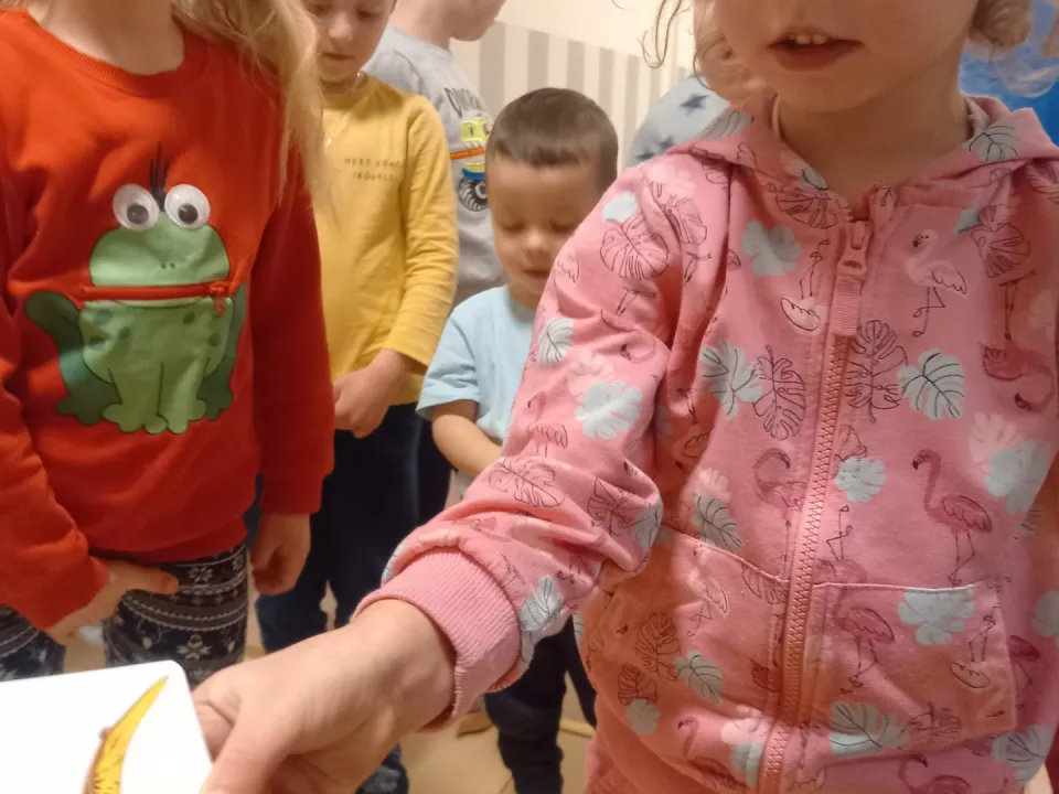 Dzień Dinozaura — zdjęcie 2