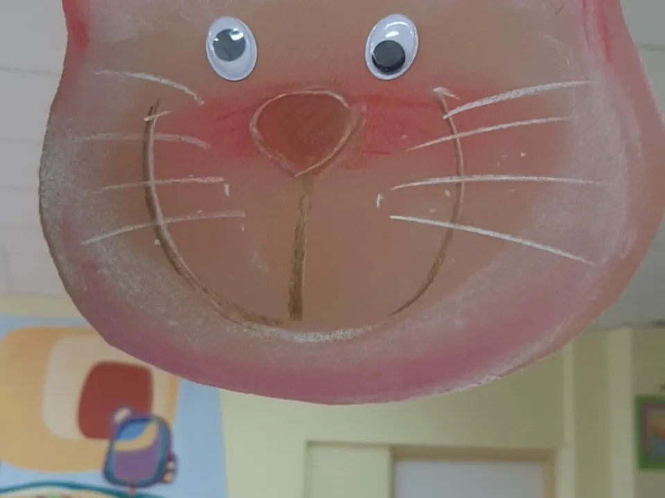 Dzień Kota — zdjęcie 3