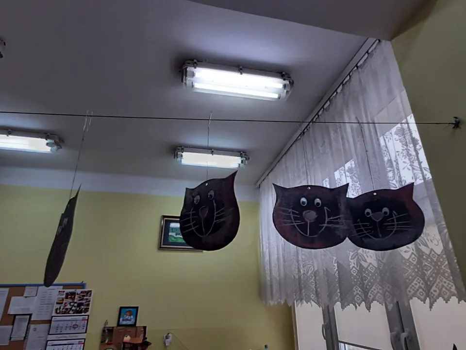 Dzień Kota — zdjęcie 4