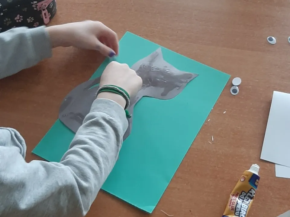 Dzień Kota — zdjęcie 6