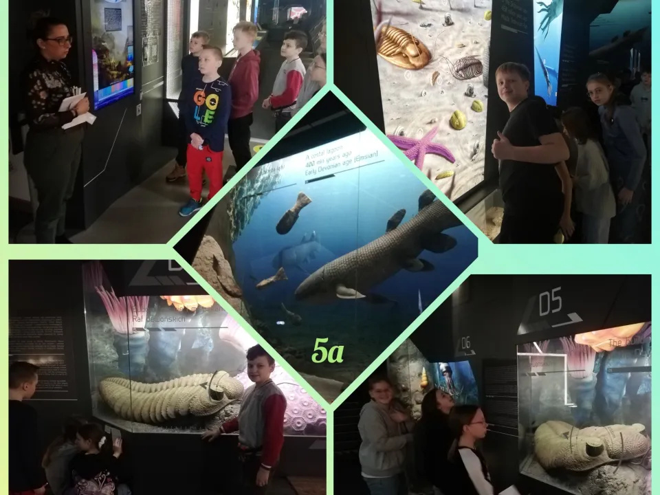 5a w Centrum Geoedukacji — zdjęcie 2