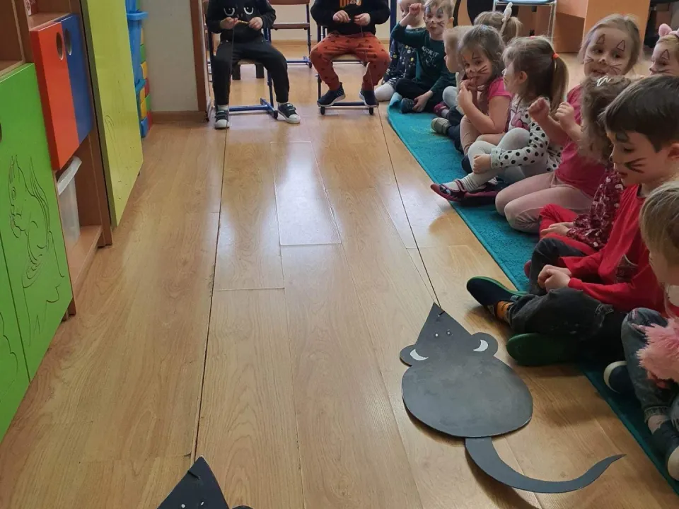 Światowy Dzień Kota — zdjęcie 10