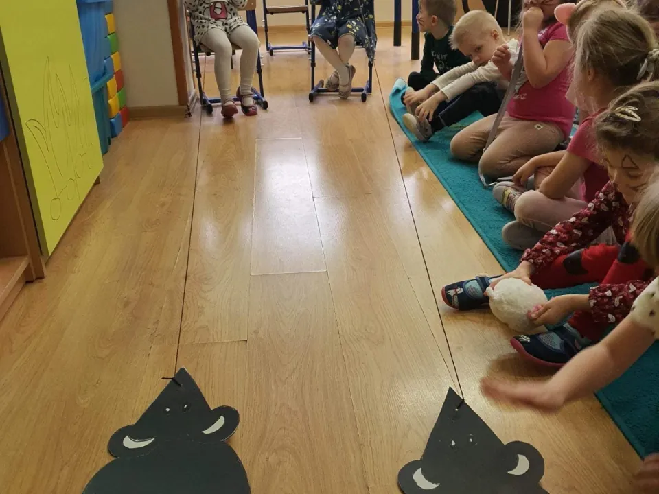 Światowy Dzień Kota — zdjęcie 11