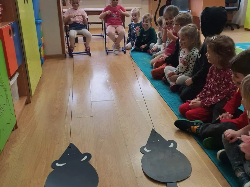 Światowy Dzień Kota — zdjęcie 12