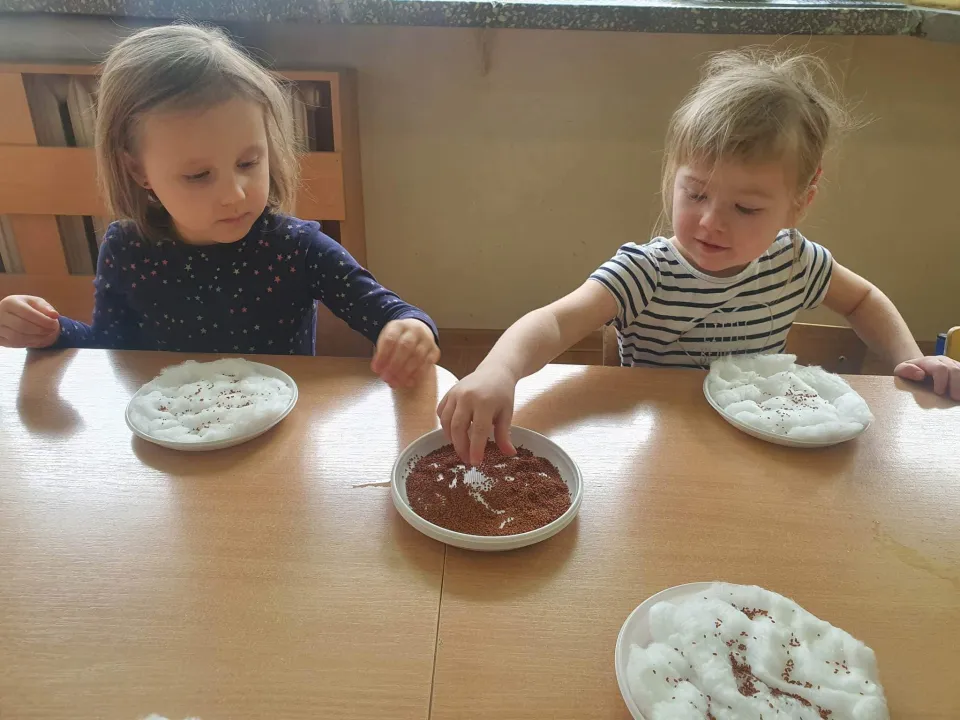 Sadzenie kwiatów w grupie Biedronk — zdjęcie 4