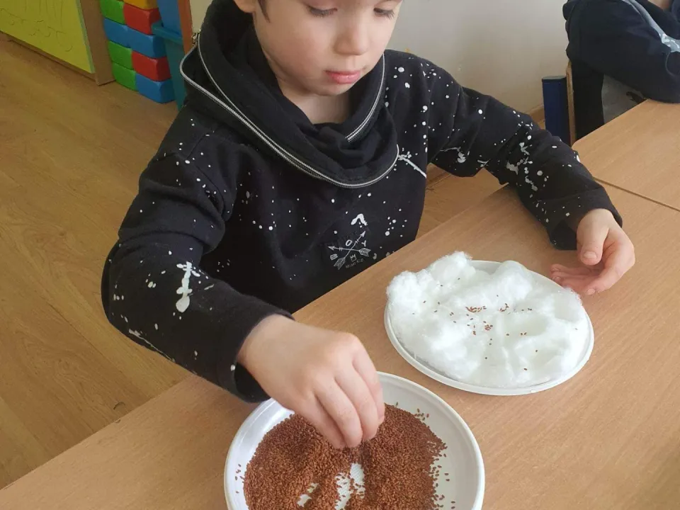 Sadzenie kwiatów w grupie Biedronk — zdjęcie 10