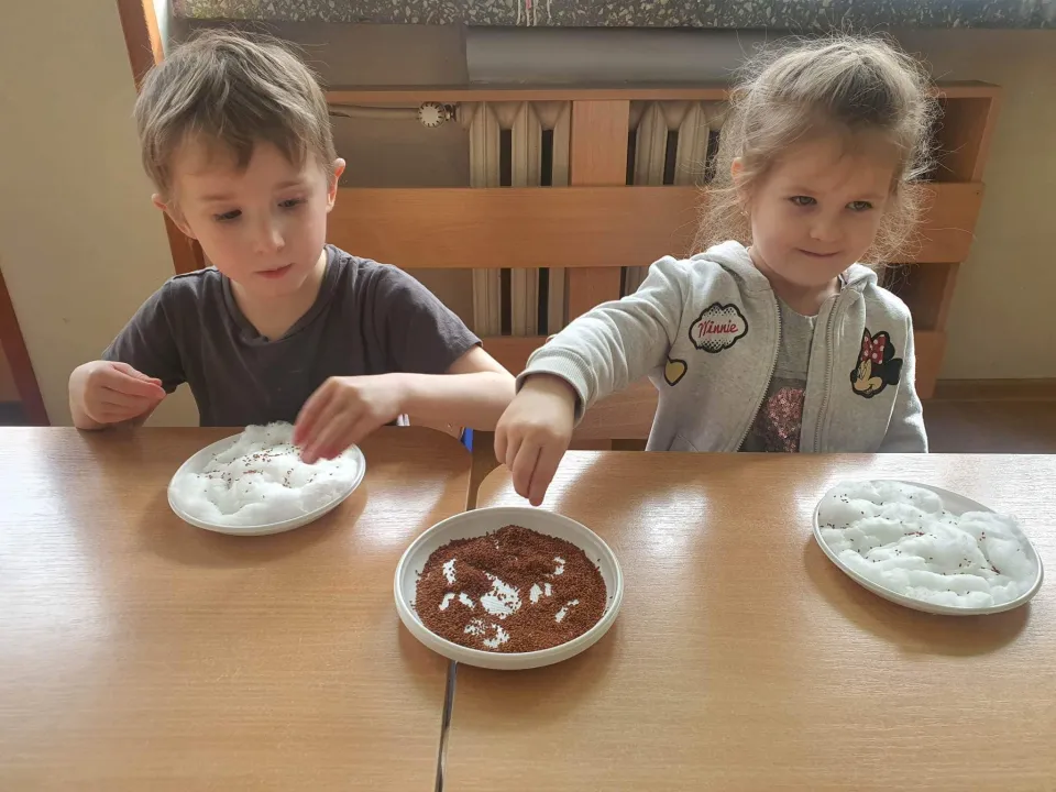 Sadzenie kwiatów w grupie Biedronk — zdjęcie 11