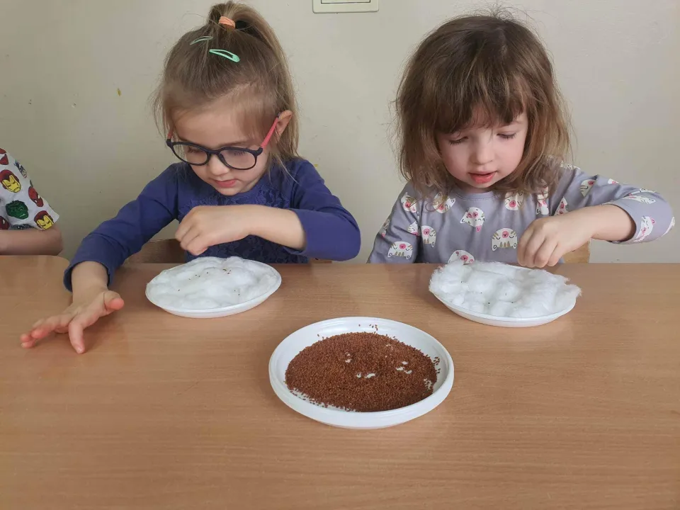 Sadzenie kwiatów w grupie Biedronk — zdjęcie 13