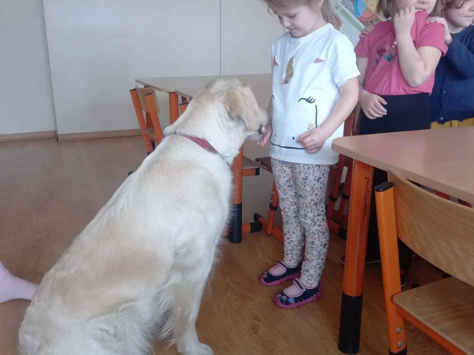Dogoterapia w grupie biedronk — zdjęcie 11