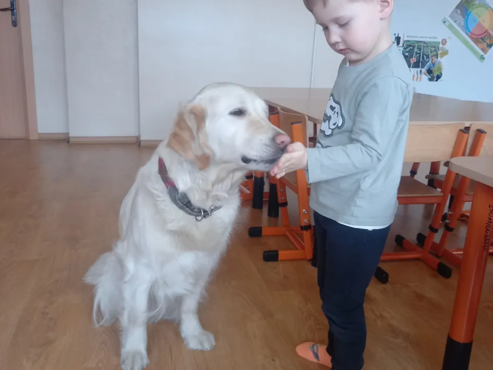Dogoterapia w grupie Lisków — zdjęcie 8