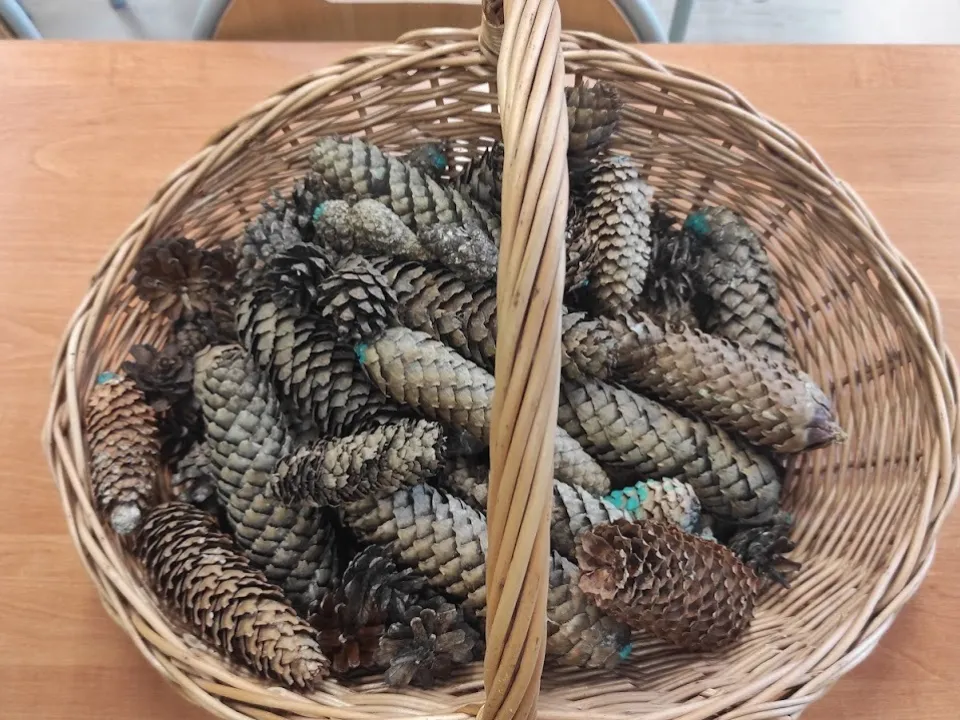 Obchody Dnia Ziemi w naszej szkole! — zdjęcie 10