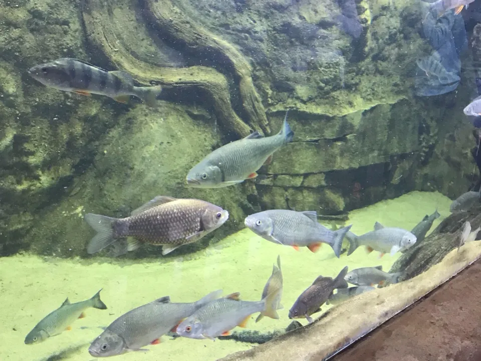 Nadnidziański Park Krajobrazowy — zdjęcie 17