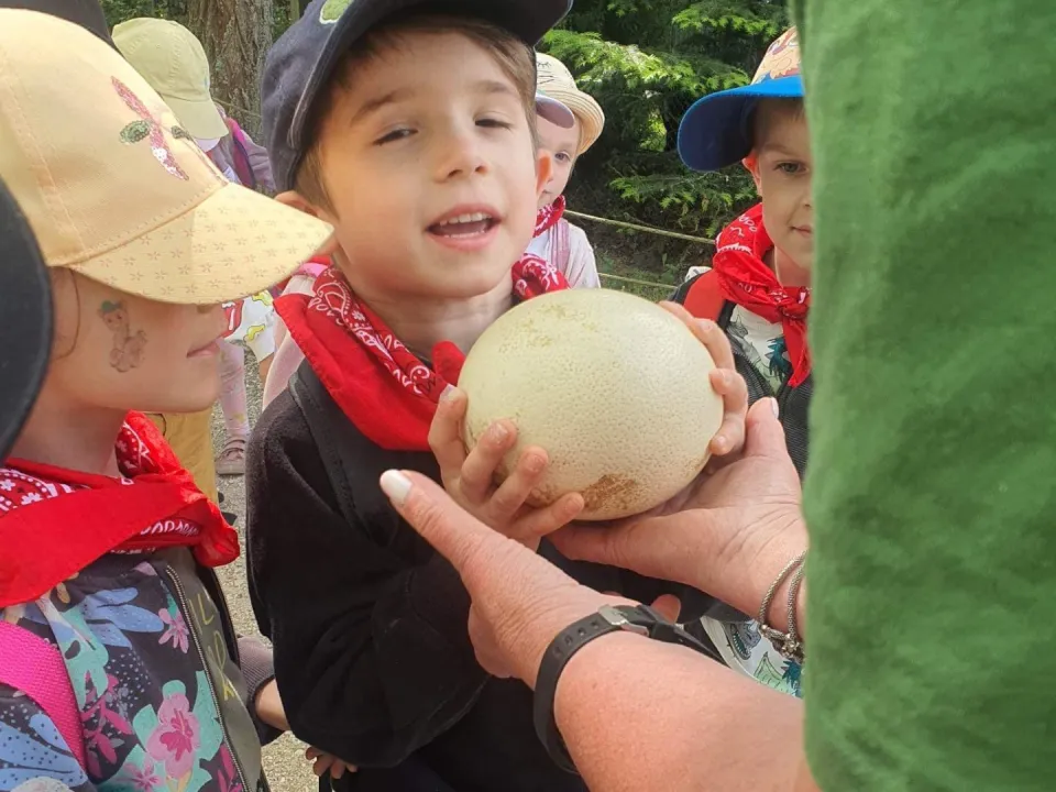 Biedronki w "Leśnym Zaciszu" - wycieczka do Lisowa — zdjęcie 2