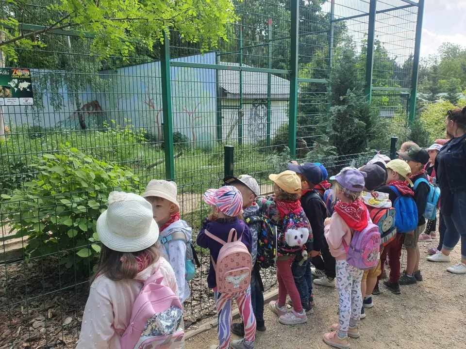 Biedronki w "Leśnym Zaciszu" - wycieczka do Lisowa — zdjęcie 11