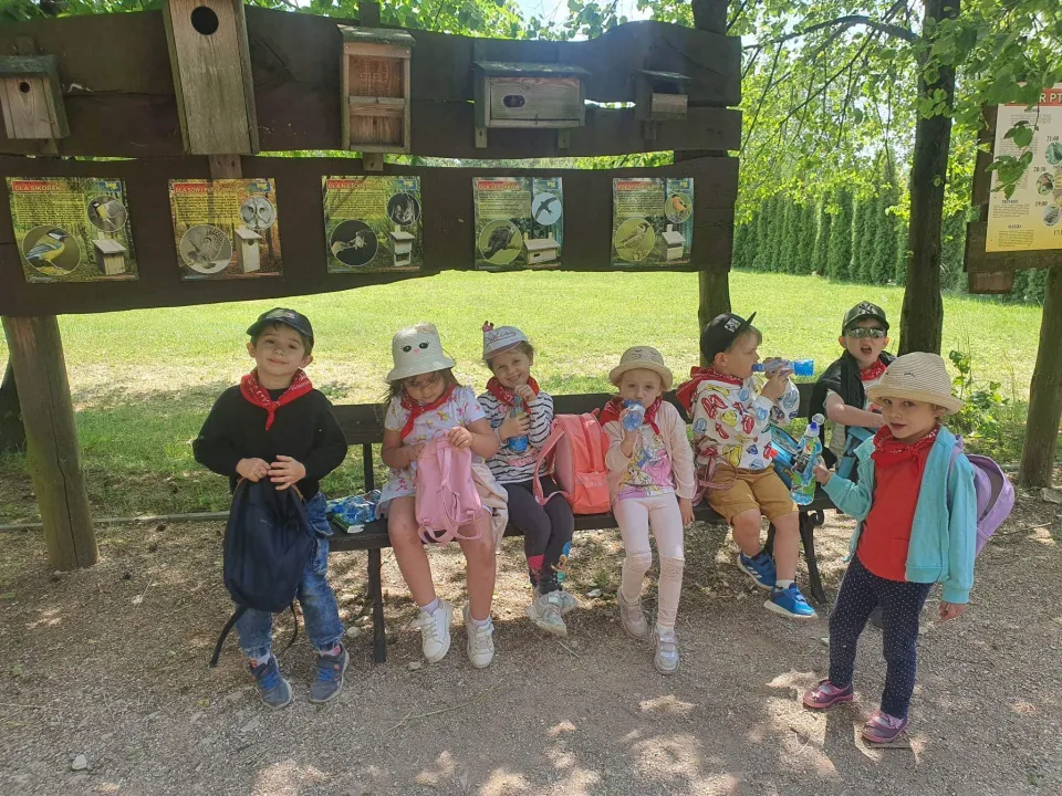 Biedronki w "Leśnym Zaciszu" - wycieczka do Lisowa — zdjęcie 15