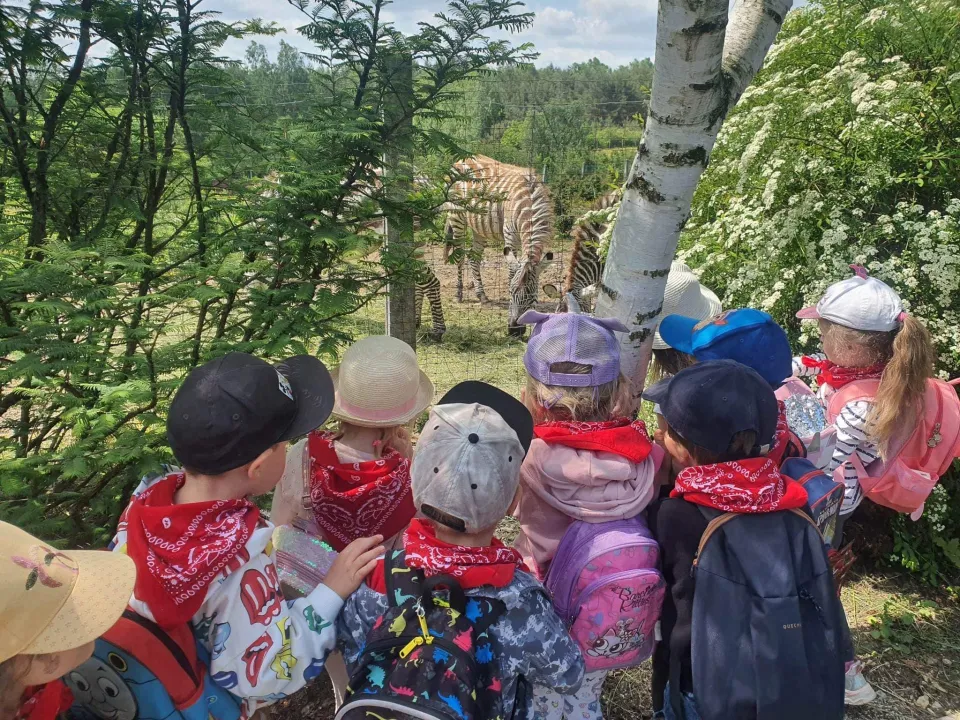 Biedronki w "Leśnym Zaciszu" - wycieczka do Lisowa — zdjęcie 16