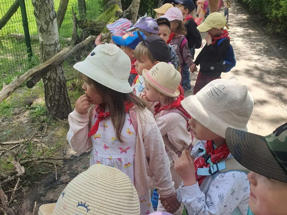 Biedronki w "Leśnym Zaciszu" - wycieczka do Lisowa — zdjęcie 18