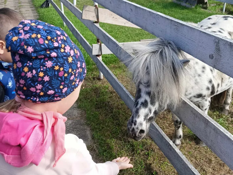 Wycieczka do Zagrody Edukacyjnej — zdjęcie 6