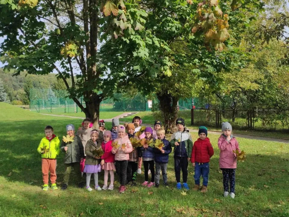 Delfiny i Dzień Drzewa — zdjęcie 19