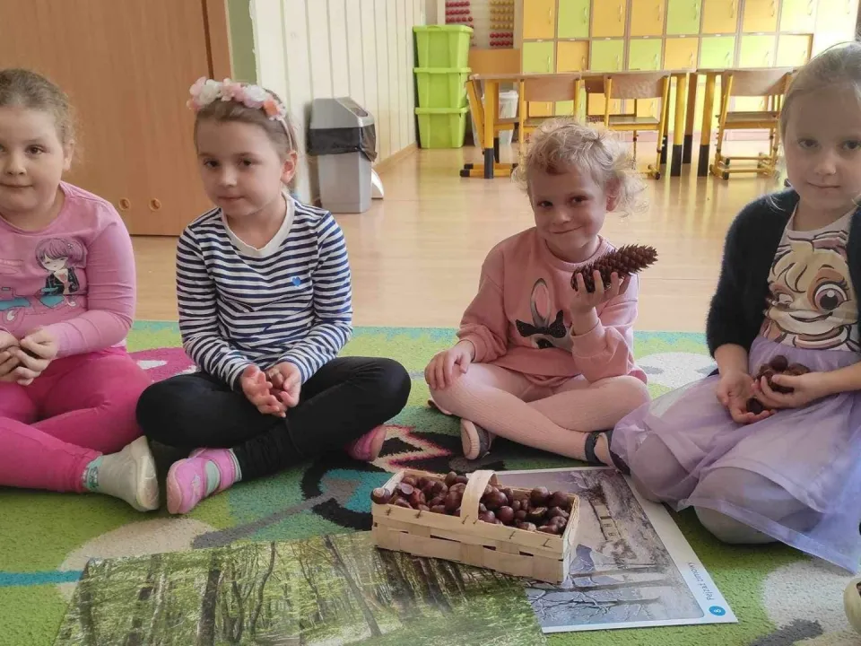 Dzień drzewa  — zdjęcie 14