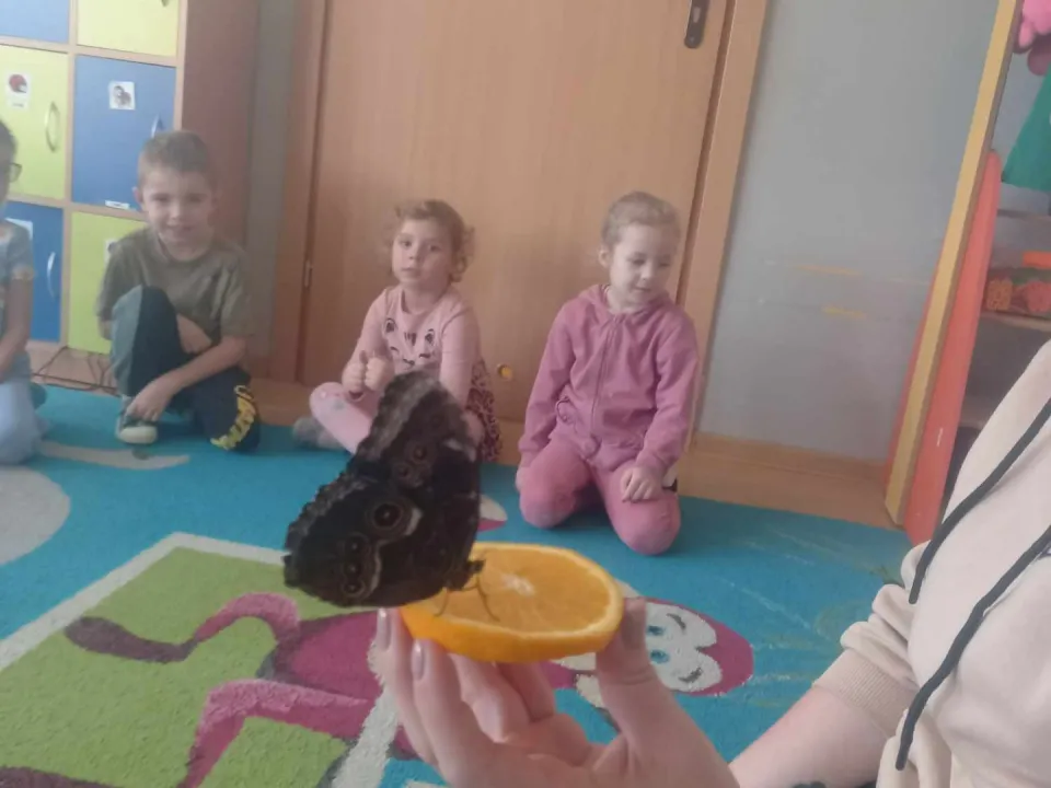 Warsztaty przyrodnicze z udziałem motyli — zdjęcie 3