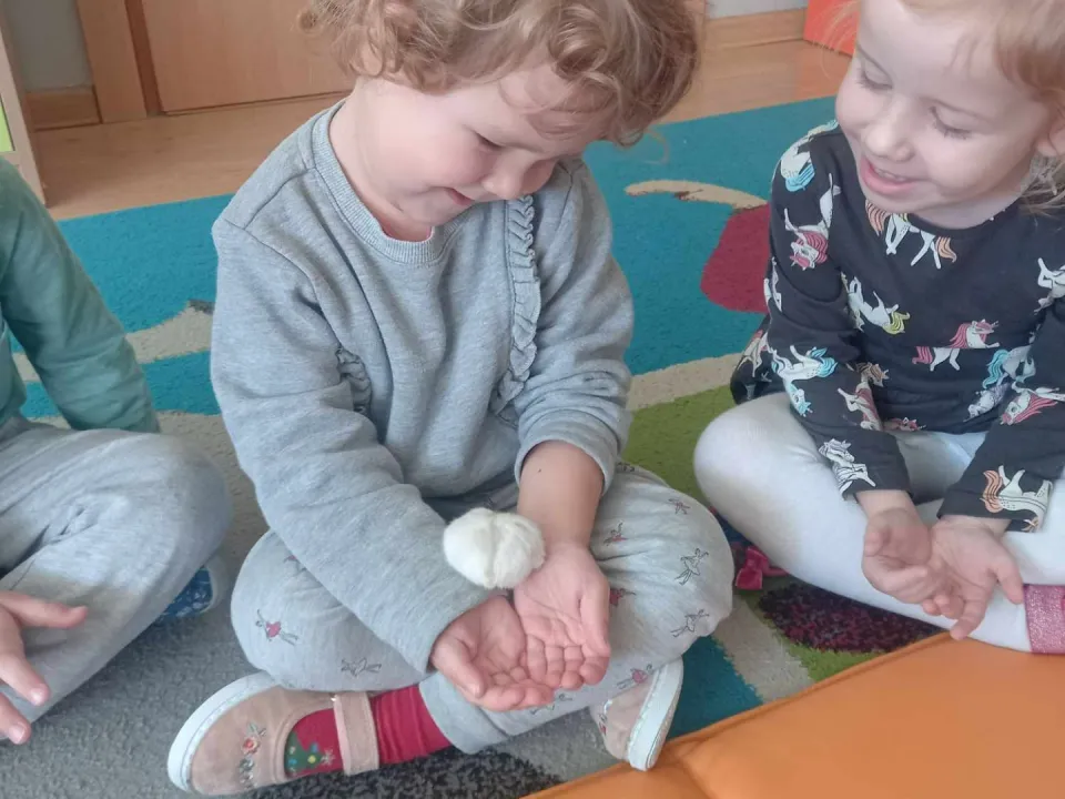 Światowy Dzień Zwierząt — zdjęcie 5