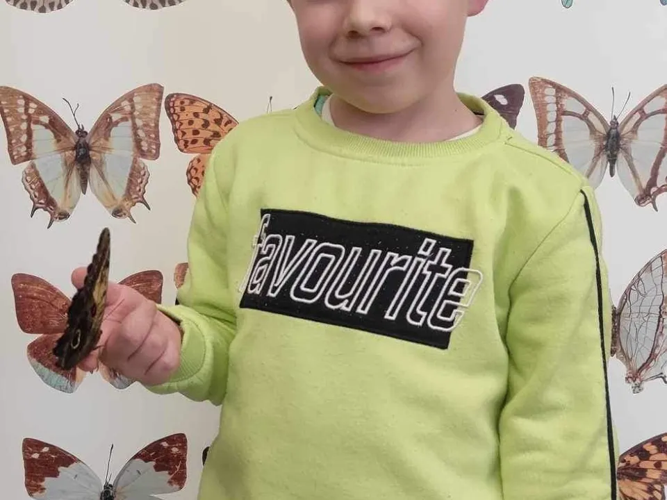 Spotkanie z motylami w grupie delfinów — zdjęcie 5