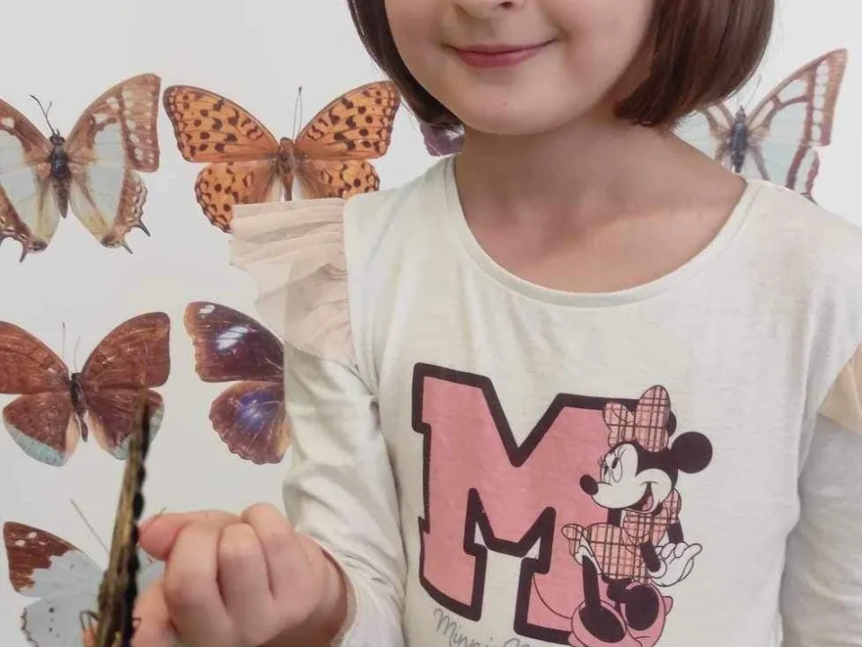 Spotkanie z motylami w grupie delfinów — zdjęcie 9